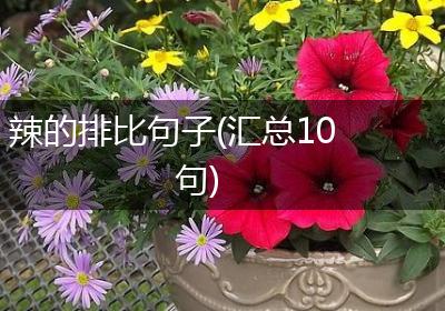 辣的排比句子(汇总10句)