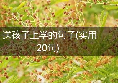 送孩子上学的句子(实用20句)