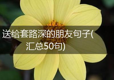 送给套路深的朋友句子(汇总50句)