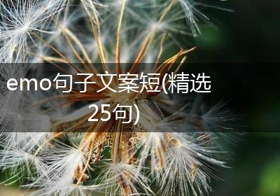 emo句子文案短(精选25句)