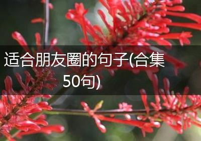 适合朋友圈的句子(合集50句)