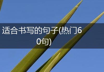 适合书写的句子(热门60句)