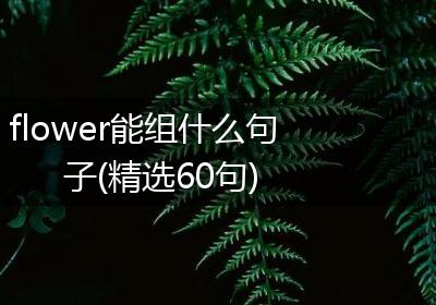 flower能组什么句子(精选60句)