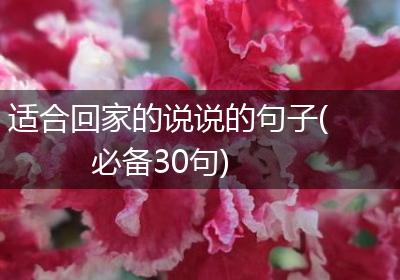适合回家的说说的句子(必备30句)