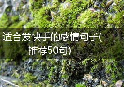 适合发快手的感情句子(推荐50句)
