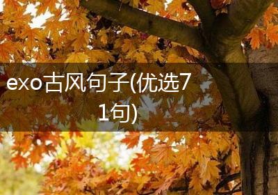 exo古风句子(优选71句)
