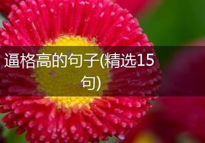 逼格高的句子(精选15句)