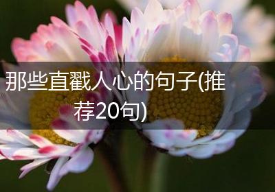 那些直戳人心的句子(推荐20句)