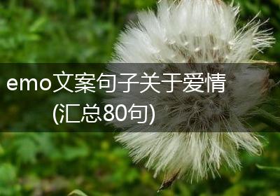 emo文案句子关于爱情(汇总80句)