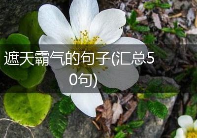 遮天霸气的句子(汇总50句)