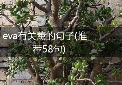 eva有关薰的句子(推荐58句)