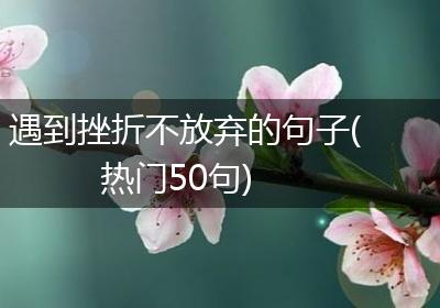 遇到挫折不放弃的句子(热门50句)