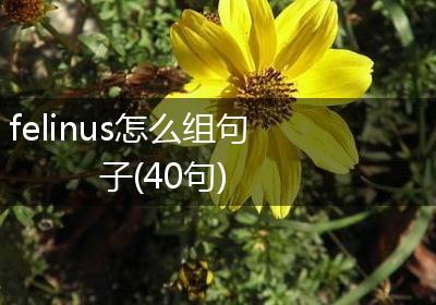 felinus怎么组句子(40句)