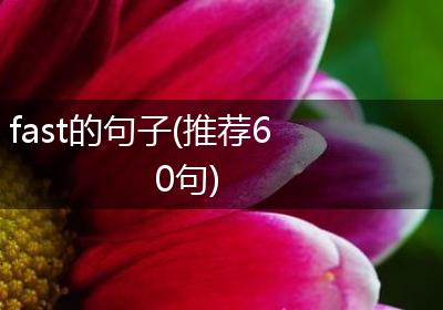 fast的句子(推荐60句)
