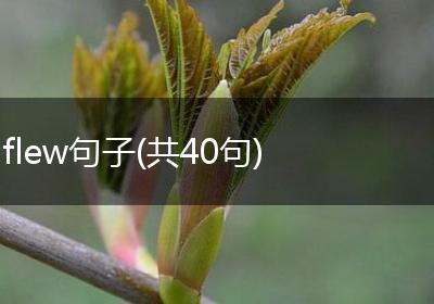 flew句子(共40句)