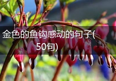 金色的鱼钩感动的句子(50句)
