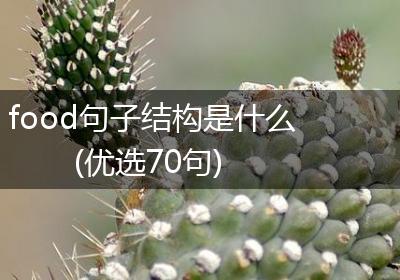 food句子结构是什么(优选70句)