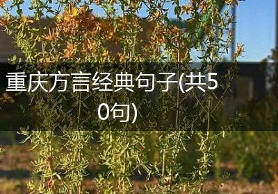 重庆方言经典句子(共50句)