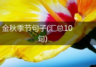 金秋季节句子(汇总10句)