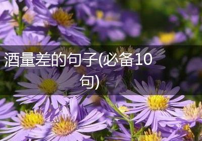 酒量差的句子(必备10句)