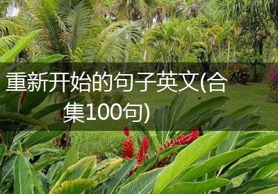 重新开始的句子英文(合集100句)