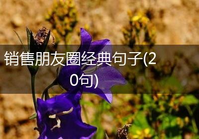 销售朋友圈经典句子(20句)