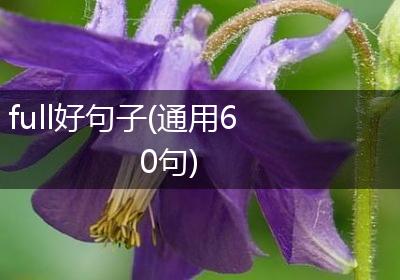 full好句子(通用60句)