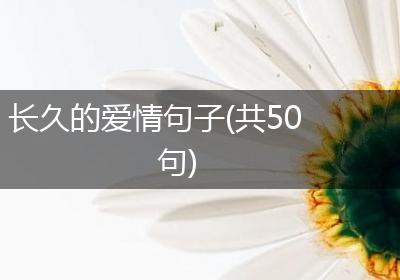 长久的爱情句子(共50句)