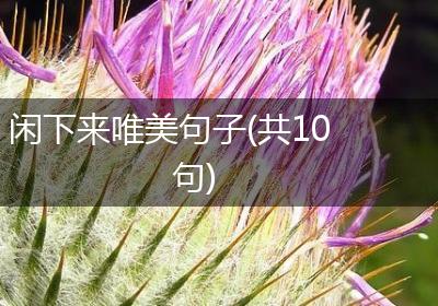 闲下来唯美句子(共10句)
