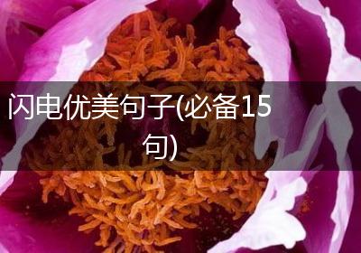 闪电优美句子(必备15句)