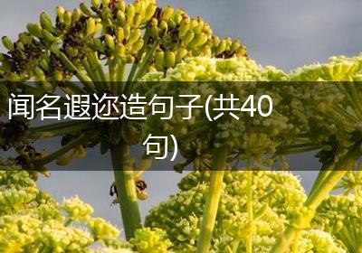 闻名遐迩造句子(共40句)