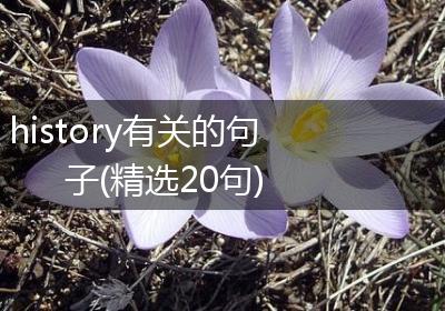 history有关的句子(精选20句)
