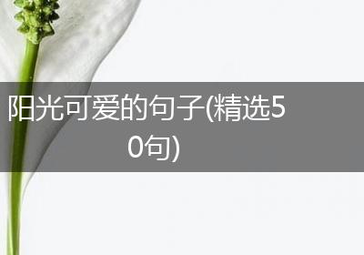 阳光可爱的句子(精选50句)
