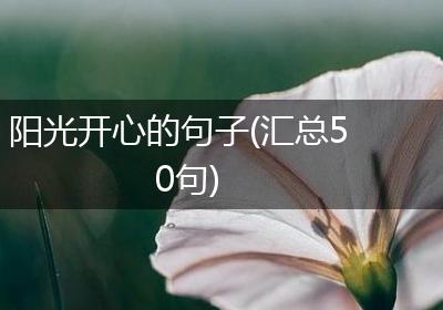 阳光开心的句子(汇总50句)