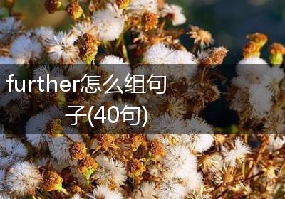further怎么组句子(40句)