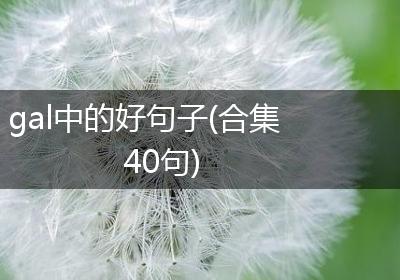 gal中的好句子(合集40句)