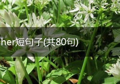 her短句子(共80句)