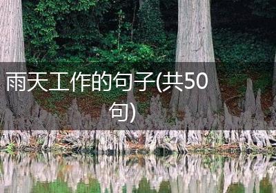 雨天工作的句子(共50句)