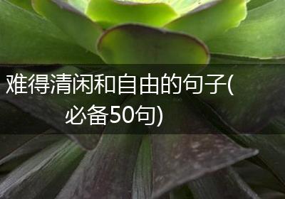 难得清闲和自由的句子(必备50句)