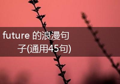 future 的浪漫句子(通用45句)