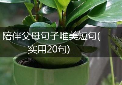 陪伴父母句子唯美短句(实用20句)