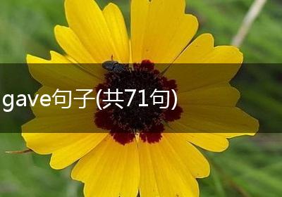 gave句子(共71句)