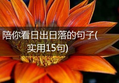 陪你看日出日落的句子(实用15句)