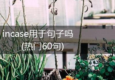 incase用于句子吗(热门60句)