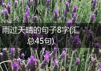 雨过天晴的句子8字(汇总45句)