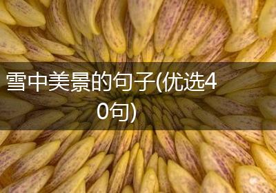 雪中美景的句子(优选40句)