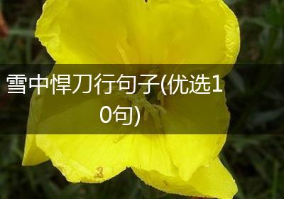 雪中悍刀行句子(优选10句)
