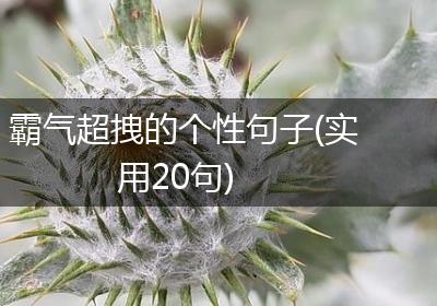 霸气超拽的个性句子(实用20句)