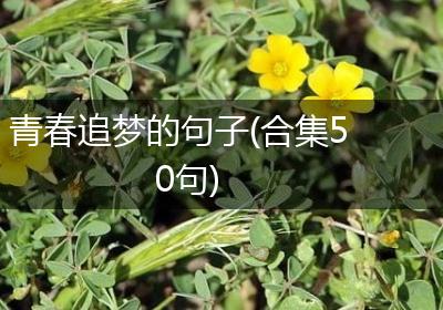 青春追梦的句子(合集50句)