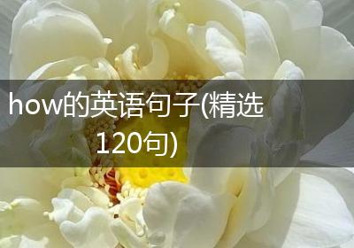 how的英语句子(精选120句)